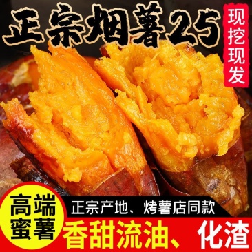 烟薯25号烤薯专业供应链达人对接一件代发社团商超供货