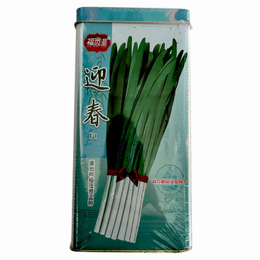 韭菜种子拯农迎春白根宽叶韭菜种子休眠期短芽率高耐寒抗病