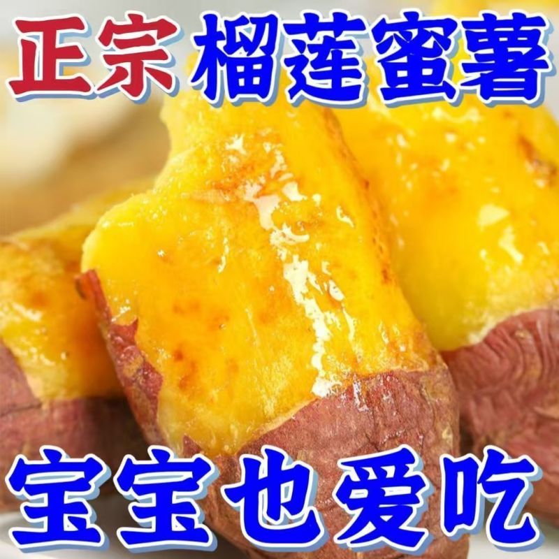 榴莲蜜薯达人对接一件代发社团商超供货