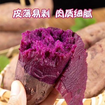 紫罗兰紫薯一达人溯源直播对接一件代发商超社团批发