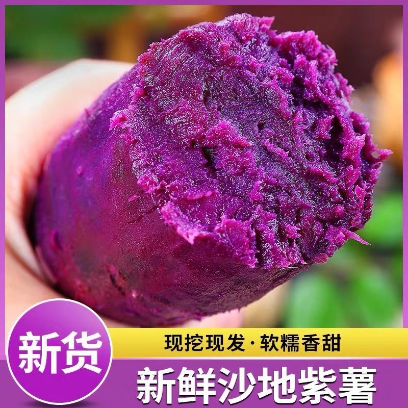 紫罗兰紫薯一达人溯源直播对接一件代发商超社团批发