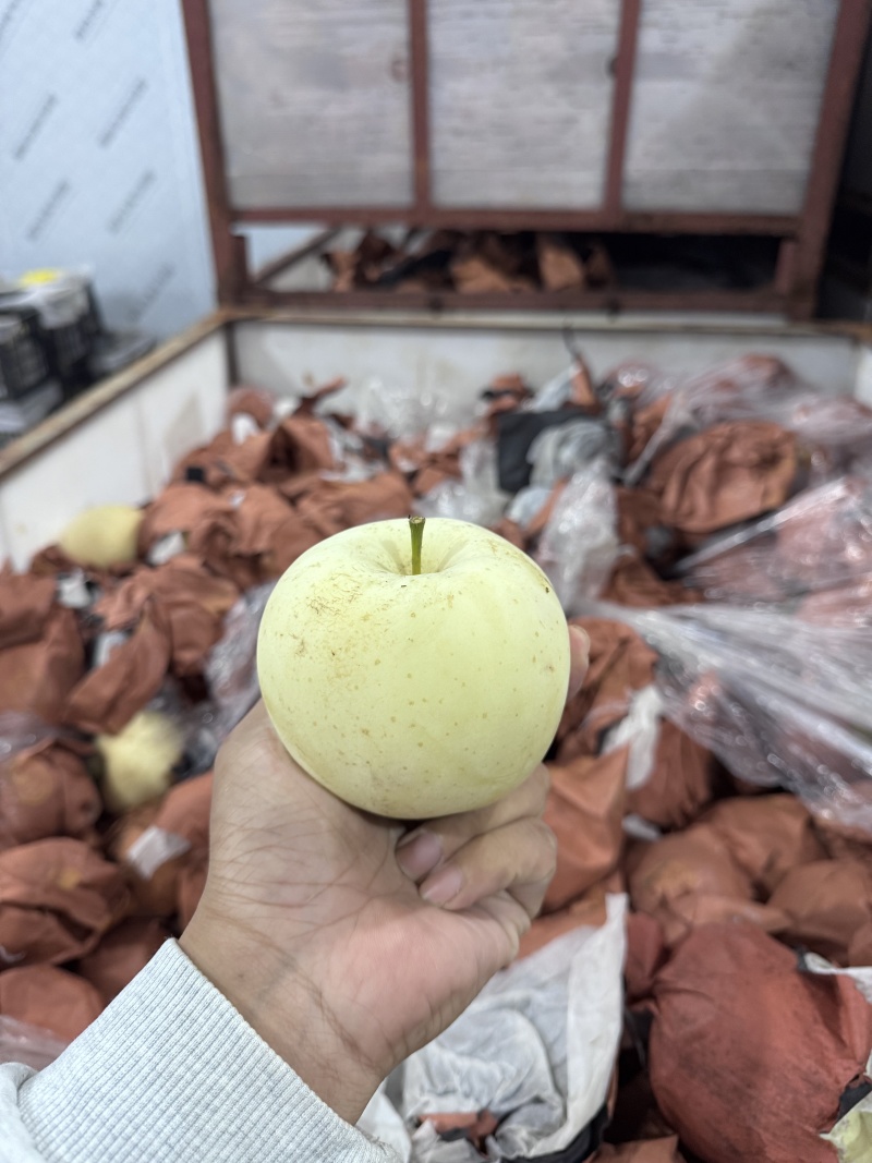 奶油富士苹果达人对接一件代发商超团购批发零售