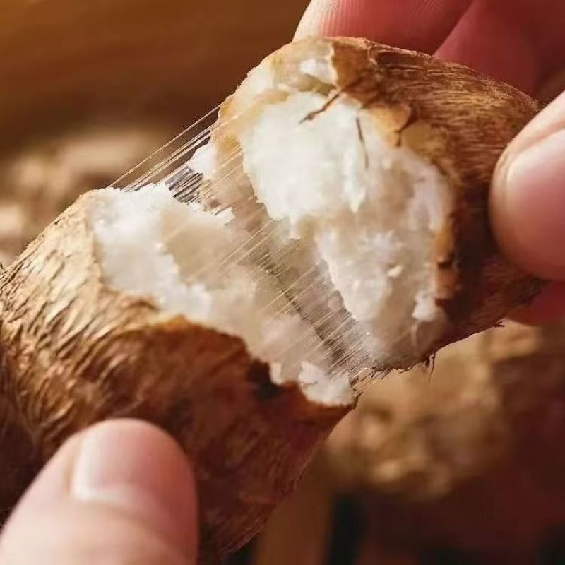牛奶芋头一件代发达人对接商超社团供货批发