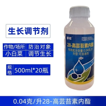 睿收0.04克/升28高芸苔素内酯促进小白菜增产生长调节
