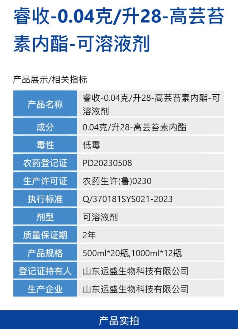 睿收0.04克/升28高芸苔素内酯小白菜促进根系发达生长