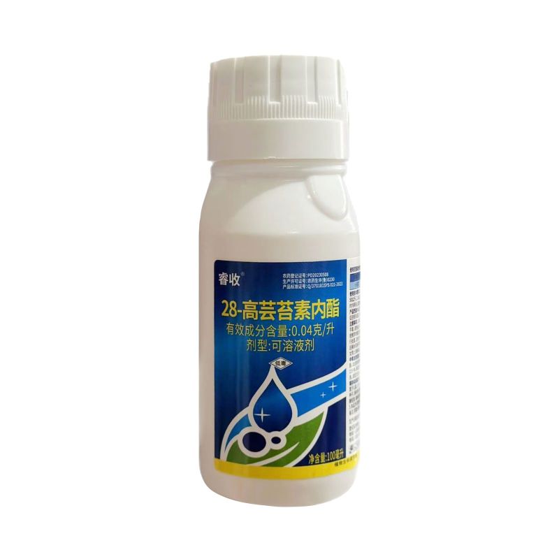 睿收0.04克/升28高芸苔素内酯小白菜促进根系发达生长