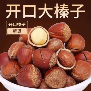 东北野生开口榛子新货薄皮炒熟坚果零食香味浓郁