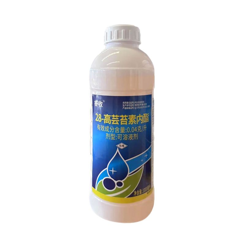 睿收0.04克/升28高芸苔素内酯农用小白菜增加产量生长