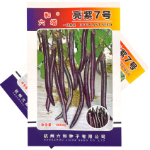 亮紫7号线茄种子中早熟红茄种籽果面紫红皮薄光滑无限生长