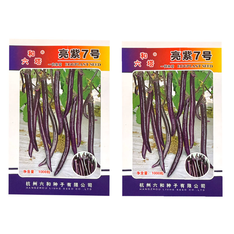 亮紫7号线茄种子中早熟红茄种籽果面紫红皮薄光滑无限生长