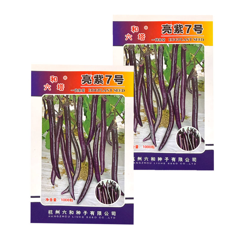 亮紫7号线茄种子中早熟红茄种籽果面紫红皮薄光滑无限生长