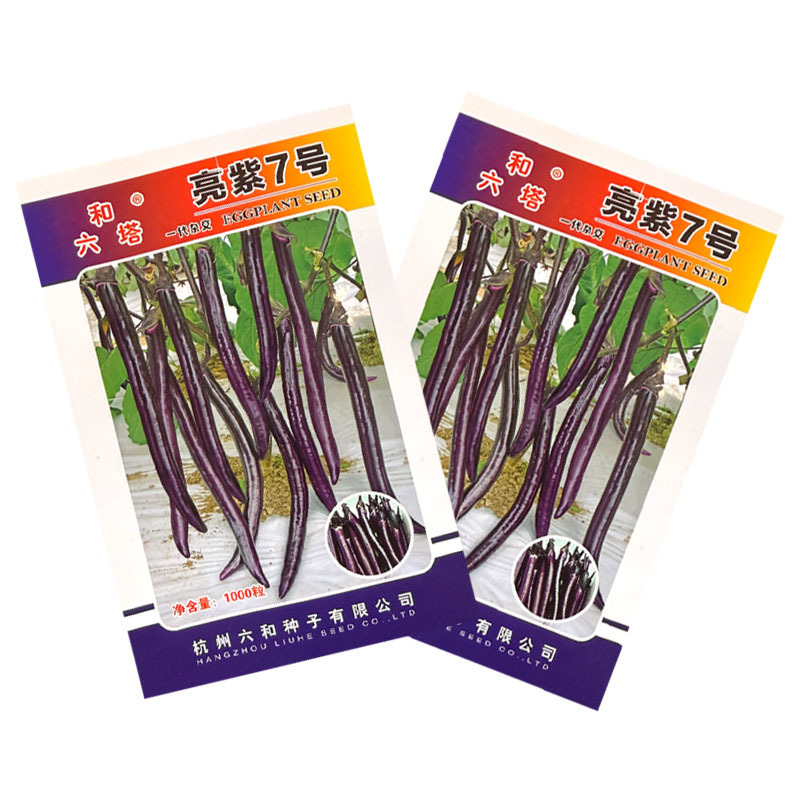 亮紫7号线茄种子中早熟红茄种籽果面紫红皮薄光滑无限生长