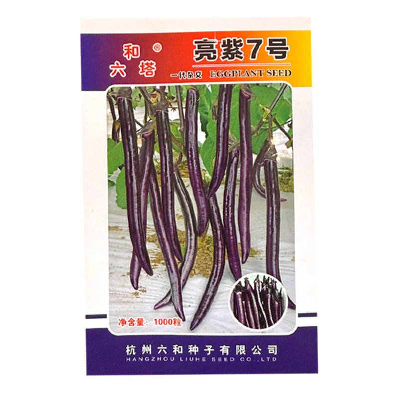 亮紫7号线茄种子中早熟红茄种籽果面紫红皮薄光滑无限生长