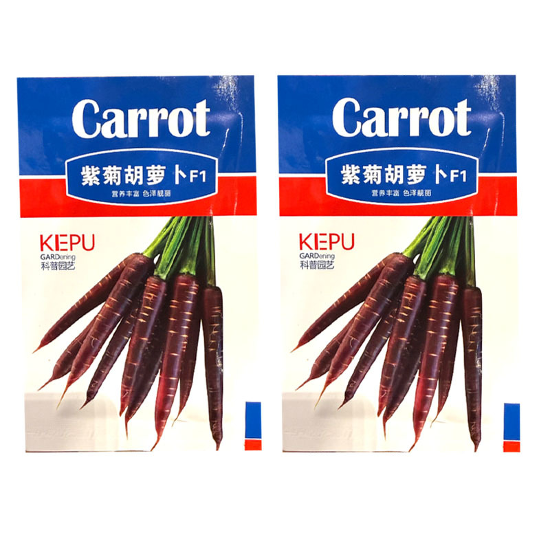 紫菊紫黑胡萝卜种子中早熟杂交紫胡萝卜种籽肉质脆甜糖度高