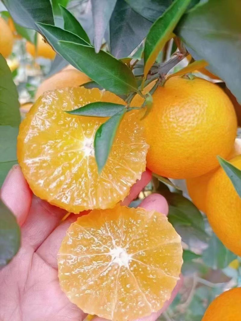 眉山爱媛提供纸箱泡沫箱礼品盒框子现场看货满意为止不失水无伤