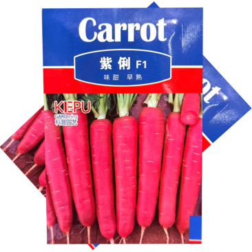 紫俐红胡萝卜种子早熟杂交粉红水果胡萝卜种籽口感脆甜