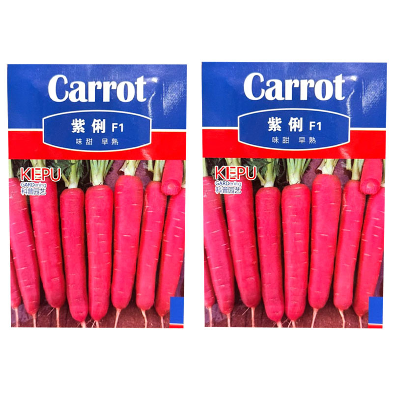 紫俐红胡萝卜种子早熟杂交粉红水果胡萝卜种籽口感脆甜