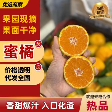 【湖北蜜橘】宜昌蜜橘基地直发量大从优欢迎来电咨询