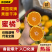 【湖北蜜橘】宜昌蜜橘基地直发量大从优欢迎来电咨询