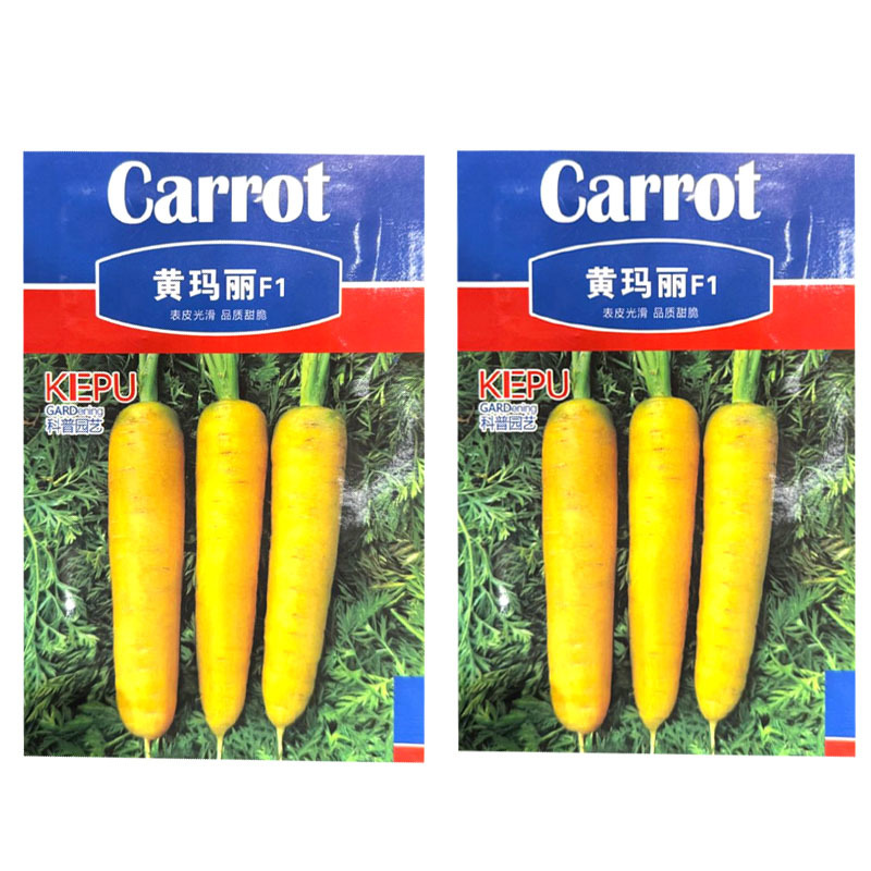 黄玛丽黄胡萝卜种子杂交水果萝卜种籽收尾好品质脆甜