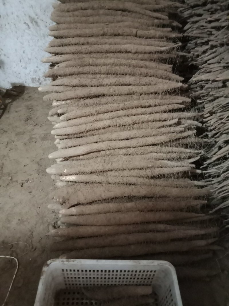 精品棒山药供应电商市场超市可视频看货欢迎来