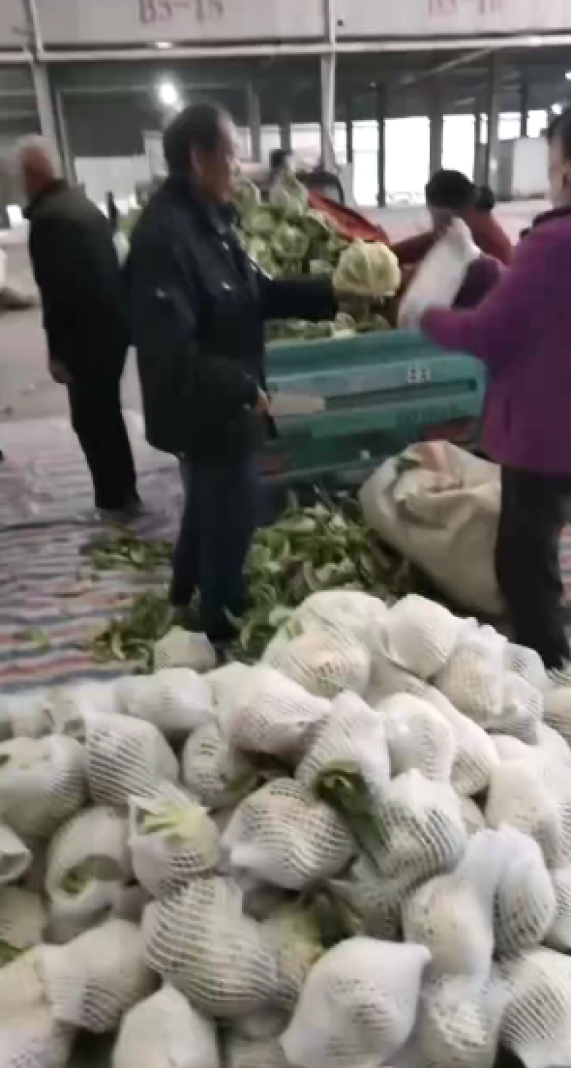花菜，当季现货，新鲜上市，产地直发品质保证，量大从优！
