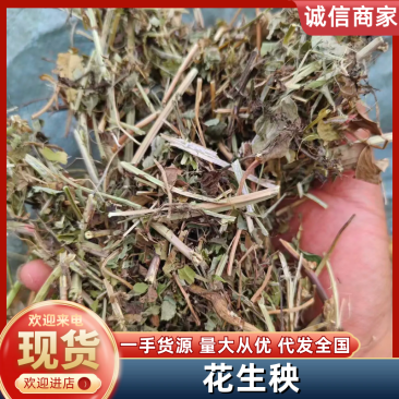 花生秧新鲜上市，产地直发高品质保证，量大从优欢迎来电订购