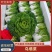 安徽精品黄心菜万亩基地实力供应，量大优惠，对接全国市场