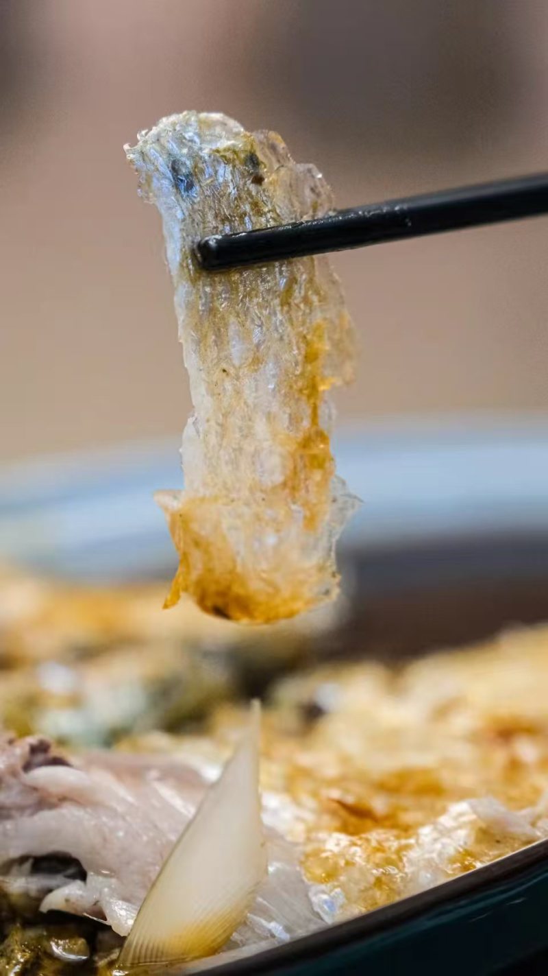 鲜货现发精品鲥鱼现钓现杀大量供应580天活水养殖