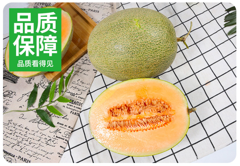 一件代发海南哈密瓜新鲜现摘西州密25号对接电商平台直播等