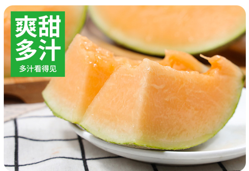 现货一件代发海南西州蜜25号哈密瓜供应电商各大平台直播等