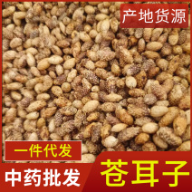 中药材苍耳子新货去刺炒苍耳子产地货源现货供应品种齐全