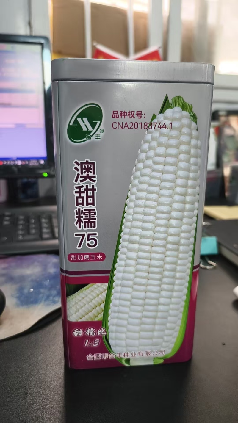 【荐】澳甜糯75-白甜糯玉米种子甜糯比1:3杂交品种