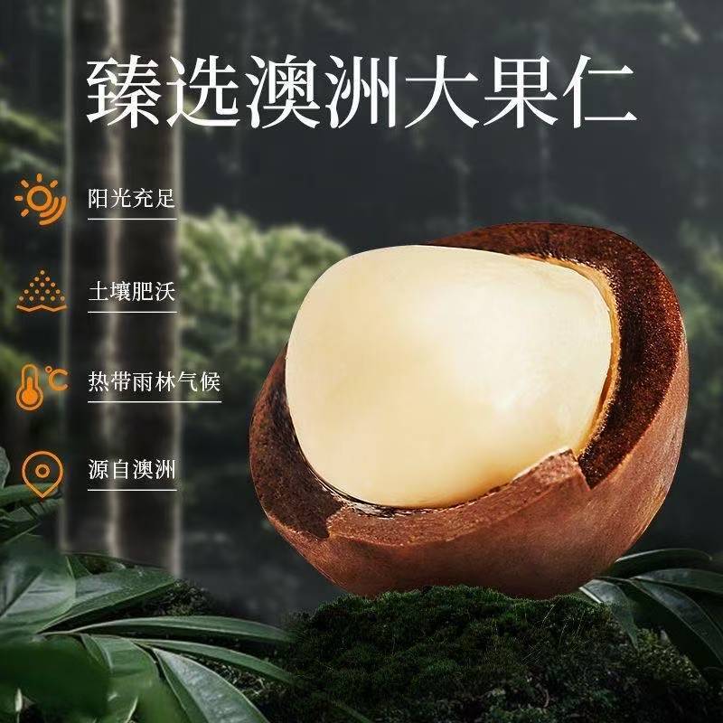 22-25大颗粒夏威夷果奶香味电商通货