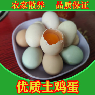 湖北潜江新鲜散养优质土鸡蛋,绿壳粉壳蛋,鸡场直销大量现货