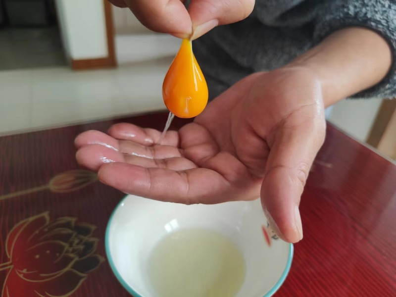 潜江土鸡蛋批发基地直供，土鸡吃玉米小麦稻谷！