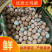 土鸡蛋绿壳蛋粉壳蛋常年供应,林下正宗散养土鸡蛋,质量保证