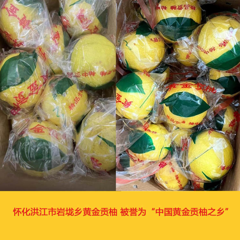 怀化洪江岩垅黄金贡柚-象山青小柚子-好剥皮