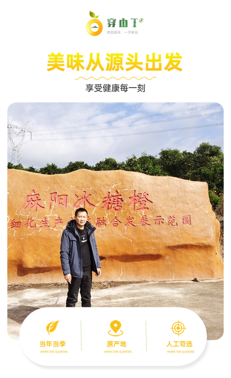 怀化麻阳锦红锦蜜怀橘锦和冰糖橙五代任选