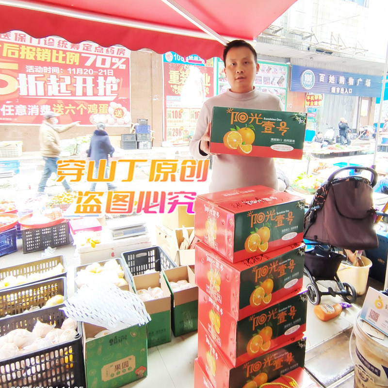 怀化洪江岩垅阳光一号桔柚-高山向阳大果小柚子