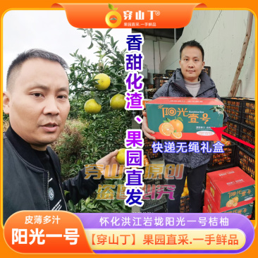 怀化洪江岩垅阳光一号桔柚-高山向阳大果小柚子