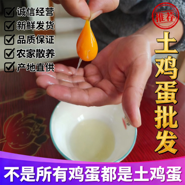 湖北潜江纯正散养土鸡蛋,420枚绿壳粉壳蛋