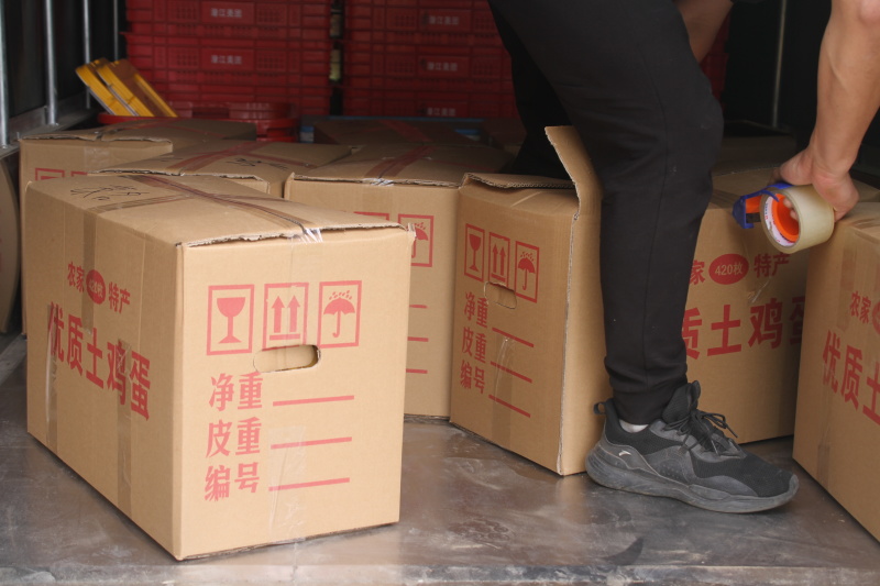 湖北潜江纯正散养土鸡蛋，420枚绿壳粉壳蛋