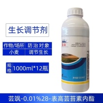 芸飒0.01%28表高芸苔素内酯快速调节小麦生长生长调节