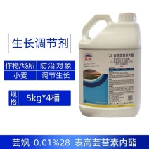 芸飒0.01%28表高芸苔素内酯快速调节小麦生长强力生长