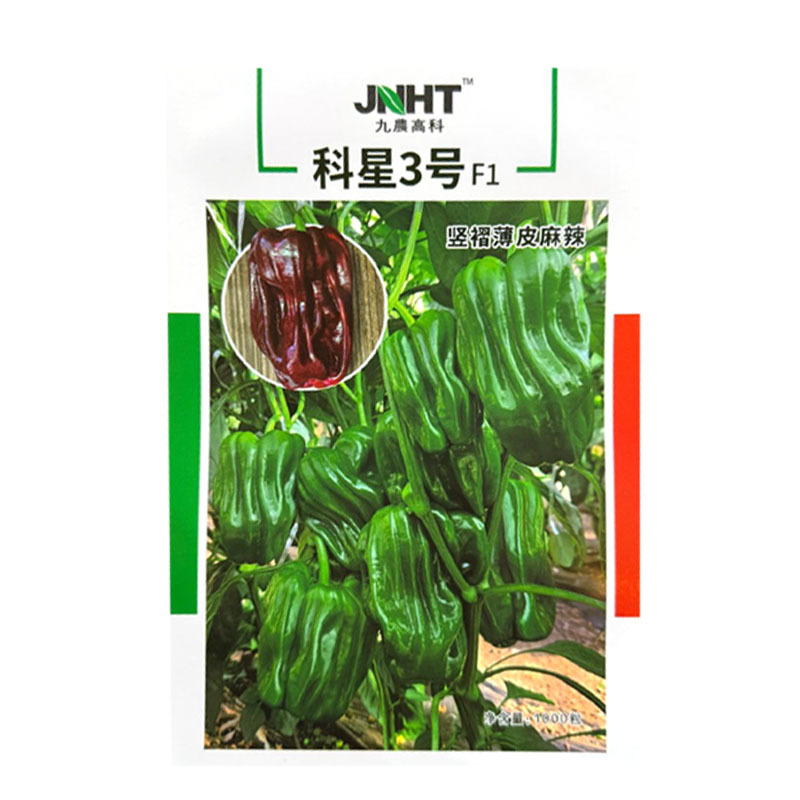 科星3号薄皮麻辣椒种子中早熟皮薄味辣麻辣香脆薄皮椒种子