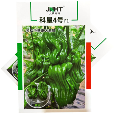 科星4号竖褶中薄皮麻辣椒种子中熟杂交中大果麻辣椒种子