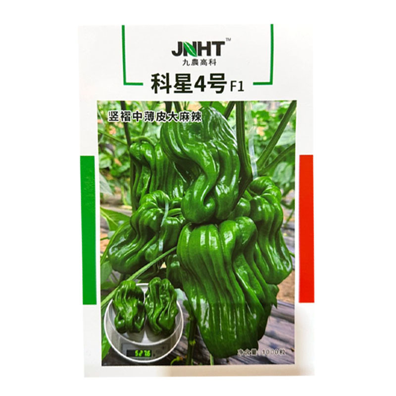 科星4号竖褶中薄皮麻辣椒种子中熟杂交中大果麻辣椒种子