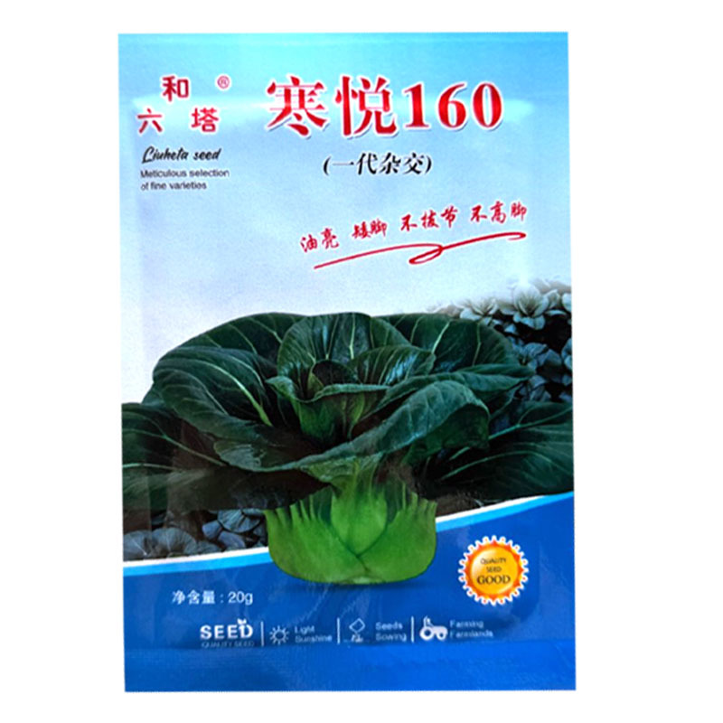 寒悦矮脚苏州青种子油亮不拔节不高脚直立紧凑束腰好软糯香甜