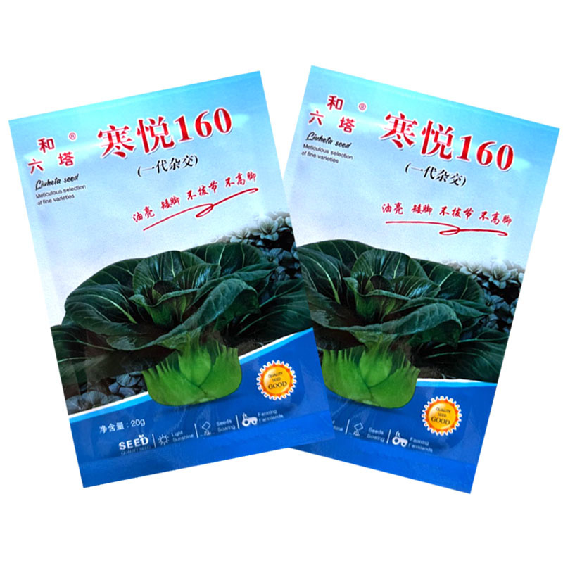寒悦矮脚苏州青种子油亮不拔节不高脚直立紧凑束腰好软糯香甜